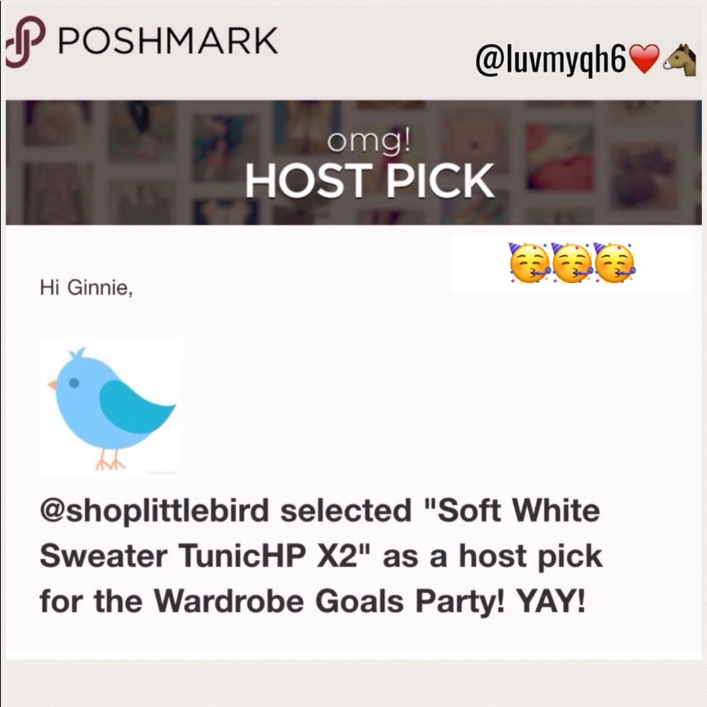 Soft Stylish Tunic Sweater🎉2X HP🎉 - Picture 4 of 4